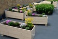 Two gray flower pots at the park seating on the terrace with an artificial plastic carpet reminiscent of a lawn. in a pot there ar Royalty Free Stock Photo