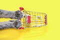 Two gray paws of a cat are pushing a shopping trolley in a supermarket on a yellow background