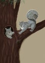 Two squirrels on a tree