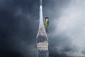 Two Great Tits Parus major sitting on a bird feeder Royalty Free Stock Photo