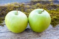 Two green apples on the old Board