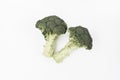Two Green Broccoli Branch with Raw Stem on Plain White Background