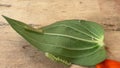 Two green caterpillars crawl on a green leaf on a wooden table. Garden pests, cotton bollworms, helicoverpa armigera Lepidoptera: