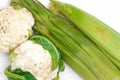 Two green Corn Cob Husks and two cauliflower Royalty Free Stock Photo