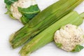 Two green Corn Cob Husks and two cauliflower Royalty Free Stock Photo