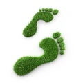 Two green grass footprint - ecology 3D illustration