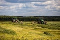 two green haymaking John Deere tractors with Krone plow on summer field before storm - telephoto shot with selective Royalty Free Stock Photo