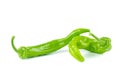 Two green hot chili peppers isolated Royalty Free Stock Photo