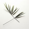 Minimalist Geometric Abstraction Palm Frond With Playful Symmetry Royalty Free Stock Photo