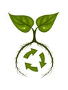 Two green leaves with long roots around symbol of recycling.