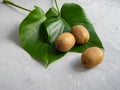 Two green leaves of the monstera plant and three kiwi fruit on a gray concrete background. Trend