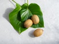 Two green leaves of the monstera plant and three kiwi fruit on a gray concrete background. Trend