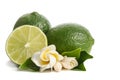 Two green limes with half of juicy lime and beautiful flower Royalty Free Stock Photo