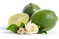 Two green limes with half of juicy lime and beautifull flower Royalty Free Stock Photo