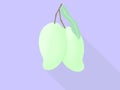 Two green mango of tropical fruit icon for poster in flat design