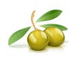 Two green olive with leaf