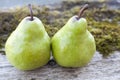 Two green pears