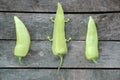 Two green peppers with one green GM pepper Royalty Free Stock Photo