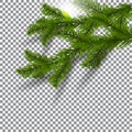 Two green, realistic shadows with spruce branches. Christmas Spruce branches. On a plaid background. The sun. Christmas Royalty Free Stock Photo