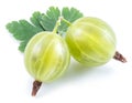 Two green ripe gooseberries with leves on white background. Close-up Royalty Free Stock Photo