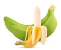 Two green and Ripe peeled bananas