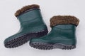 Two green rubber boots with brown fur lining Royalty Free Stock Photo