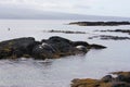 Two Green Sea Turtles resting on black volcanic rock near the shore at Leleiwi Beach Park in Hawaii Royalty Free Stock Photo