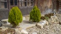 Two green small trees in front of wooden house is Zheravna/Bulgaria Royalty Free Stock Photo