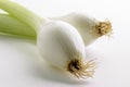 Two green tender onions on white background Royalty Free Stock Photo