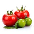 Two green and two red ripe red tomatoes with water dripping around them on a white background Royalty Free Stock Photo