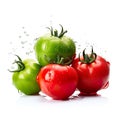 Two green and two red ripe red tomatoes with water dripping around them on a white background Royalty Free Stock Photo