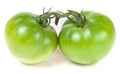 Two green unripe tomato isolated on white background Royalty Free Stock Photo