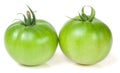 Two green unripe tomato isolated on white background Royalty Free Stock Photo