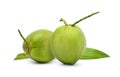 Two green young coconut fruits