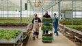 Two greenhouse african american workers having casual conversation while pushing cart with fresh harvested lettuce