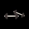 Two Grey Dumbbell 3D Icon On Black