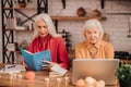 Two grey-haired pleasant ladies looking involved while studying together
