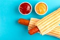 Two grilled french hot dogs with mustard and ketchup Royalty Free Stock Photo