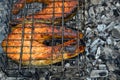 Two grilled salmon steaks. Coals a piece of appetizing fish steak baked in coals. Royalty Free Stock Photo