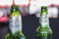 Two Grolsch beer bottles in a bar Royalty Free Stock Photo