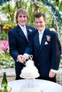 Two Grooms Cutting Cake at Their Wedding Royalty Free Stock Photo