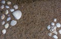 Two Group Of Seashells On Sand. Royalty Free Stock Photo