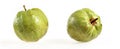 Two guavas Royalty Free Stock Photo