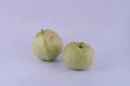 Two Guavas object Royalty Free Stock Photo