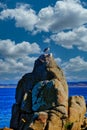 Two Gulls on Rocks Royalty Free Stock Photo