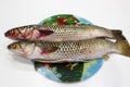 Two gutted mullet, prepared for frying for Easter, lie on a colored dish