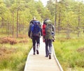 Two bearded men walking in swamps in autumn forest. Camp, adventure, traveling and fishing concept.