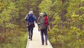 Two bearded men walking in swamps in autumn forest. Camp, adventure, traveling and fishing concept.