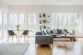 Two hairpin tables with fresh tulips standing in bright living room interior with potted plants, windows, corner couch and carpet