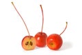 Two and a half berries of a paradise apple on a white background. Full depth of field Royalty Free Stock Photo